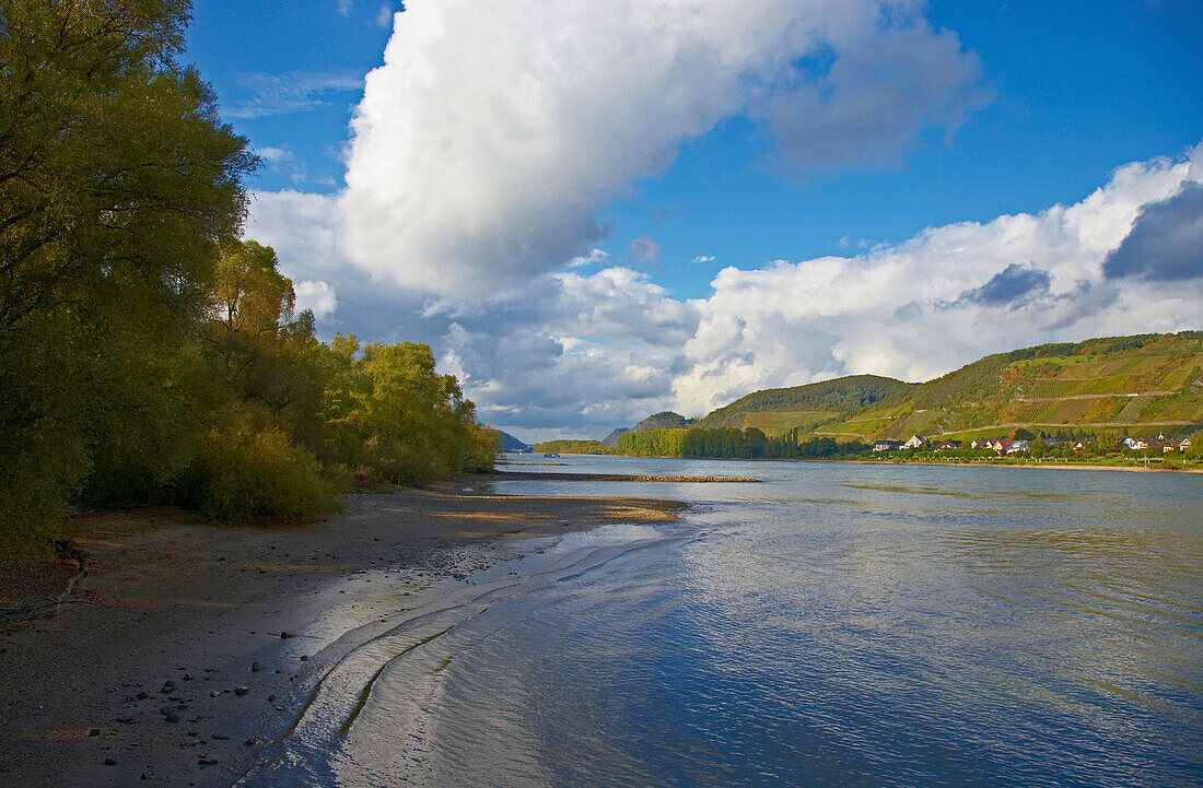 Rhein bei der Halbinsel Namedyer Werth, Unteres Mittelrheintal, Mittelrhein, Eifel, Rheinland-Pfalz, Deutschland, Europa