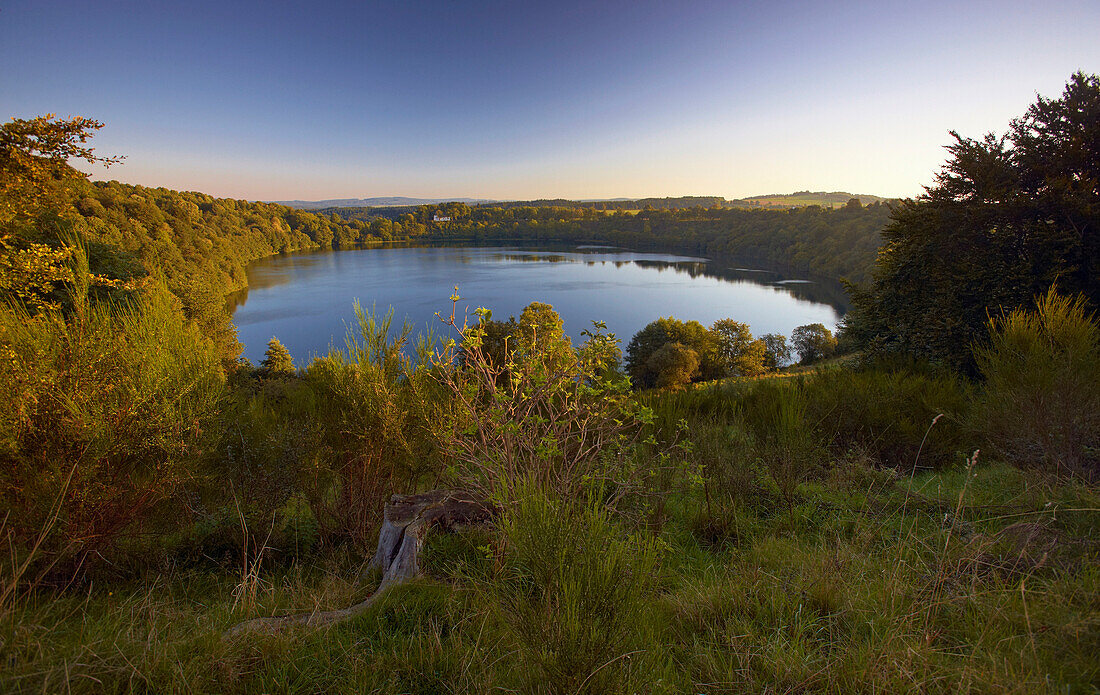 Dauner Maare, Schalkenmehrener Maar near Daun in the morning light, Eifel, Rhineland-Palatinate, Germany, Europe