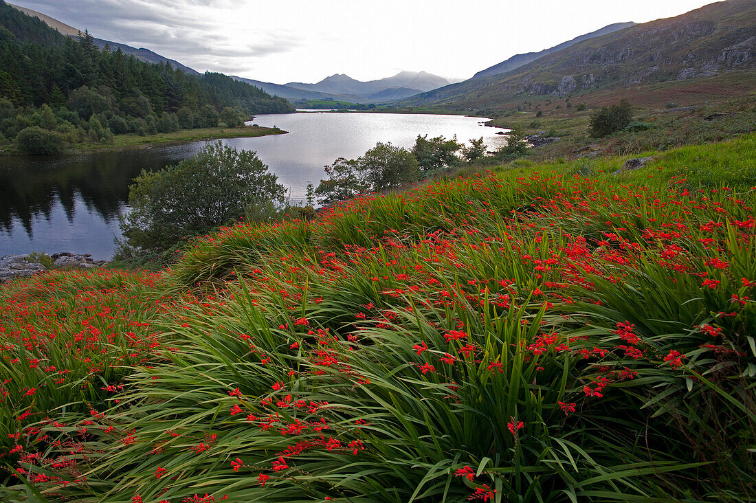 Der See Llynnau Mymbyr nahe Chapel Curig, Snowdonia National Park, Wales, Großbritannien