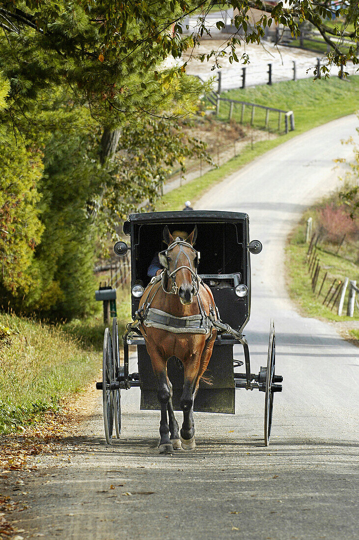 Amish lifestyle, Millersburg, Ohio, USA
