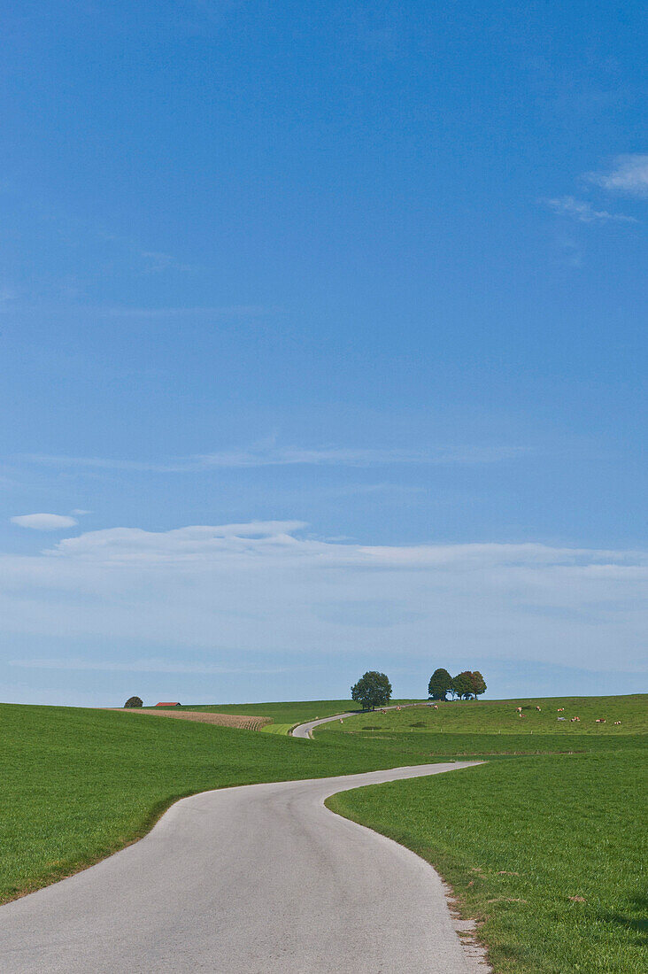 Country road near Degerndorf, Bavaria, Germany