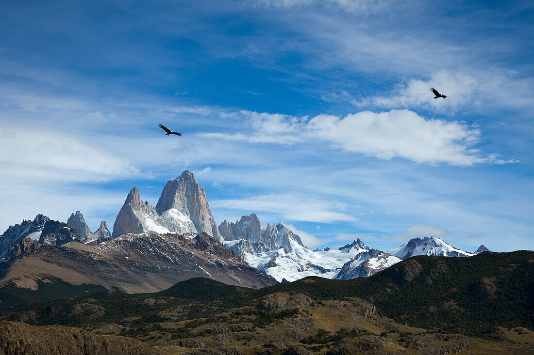 Kondor Paar, Mt. Fitz Roy, Nationalpark Los Glaciares, bei El Chalten, Patagonien, Argentinien