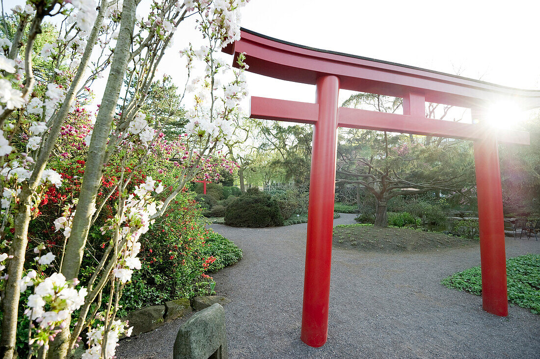 Japanischer Garten im Stadtgarten, Karlsruhe, Baden-Württemberg, Deutschland, Europa