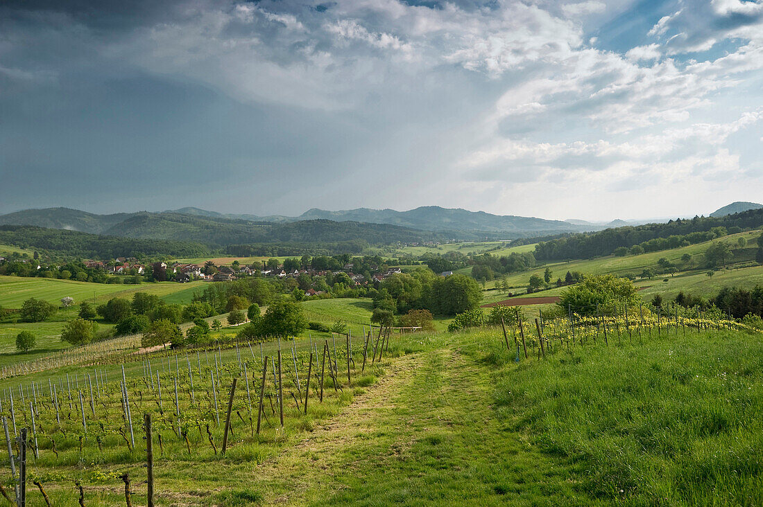 Blick auf Sölden im Hexental, Schwarzwald, Baden-Württemberg, Deutschland, Europa