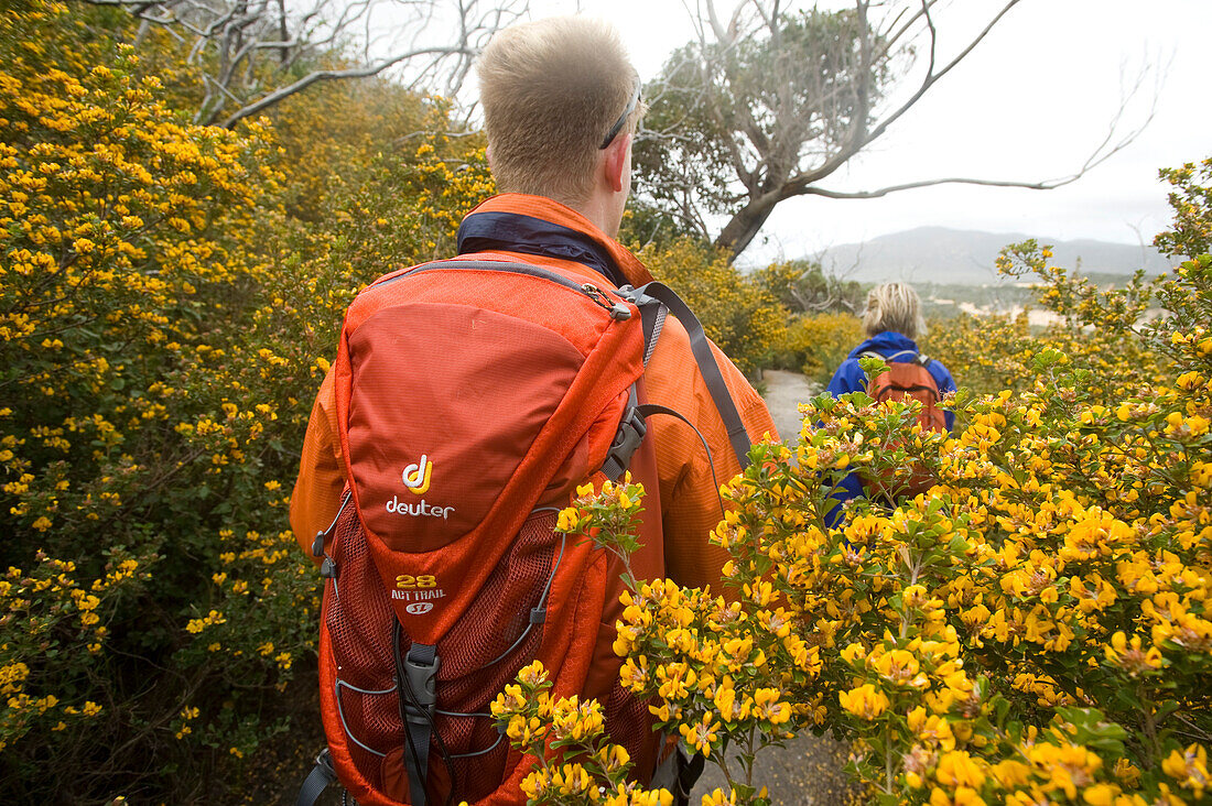 Two hikers on the way to Oberon Bay, Wilsons Promontory National Park, Victoria, Australia