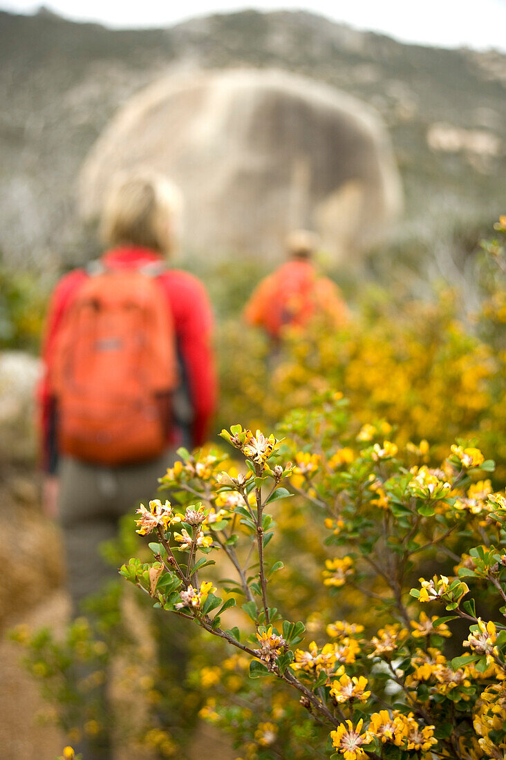 Two hikers on the way to Oberon Bay, Wilsons Promontory National Park, Victoria, Australia