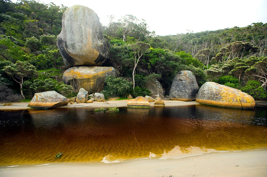 Whale Rock am Tidal River, Wilsons Promontory National Park, Victoria, Australien