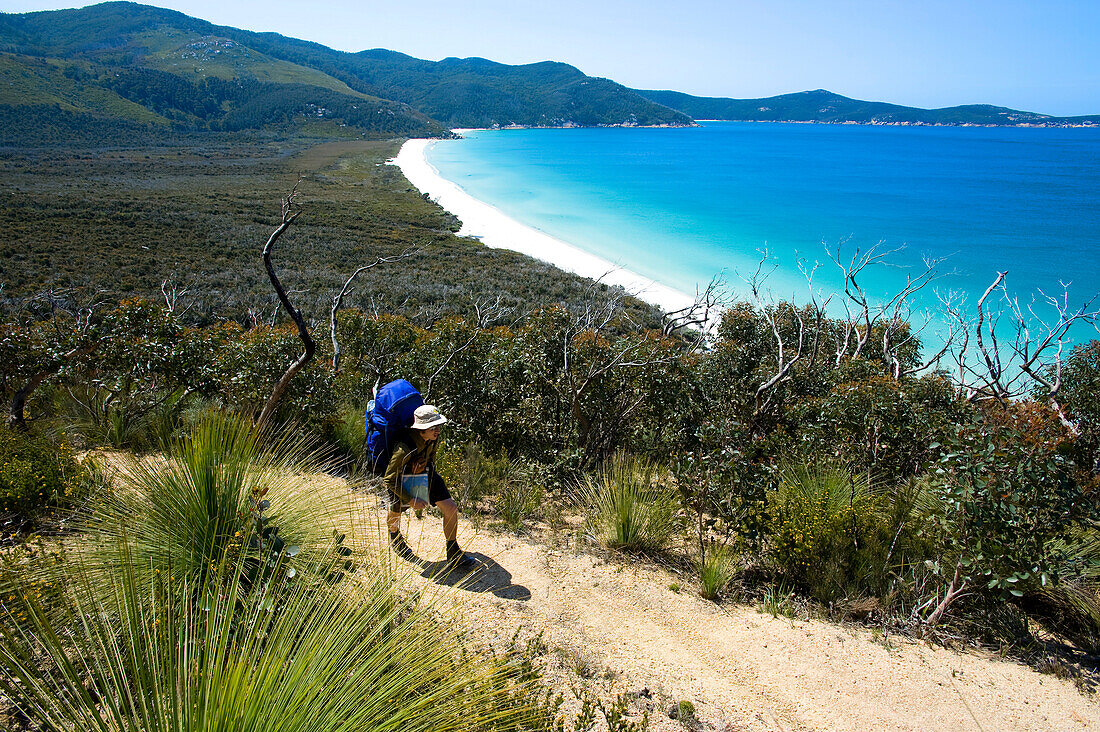 Ein Wanderer oberhalb der Waterloo Bay, Wilsons Promontory National Park, Victoria, Australien