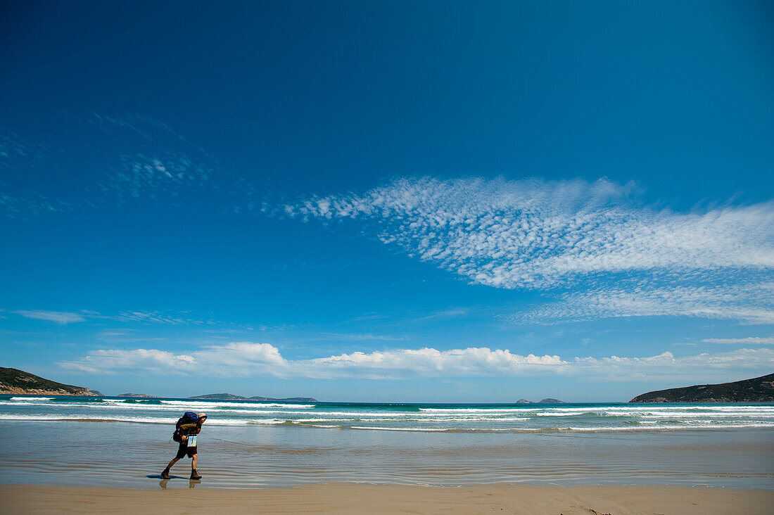 Hiker walking along the beach, Oberon Bay, Wilsons Promontory National Park, Victoria, Australia