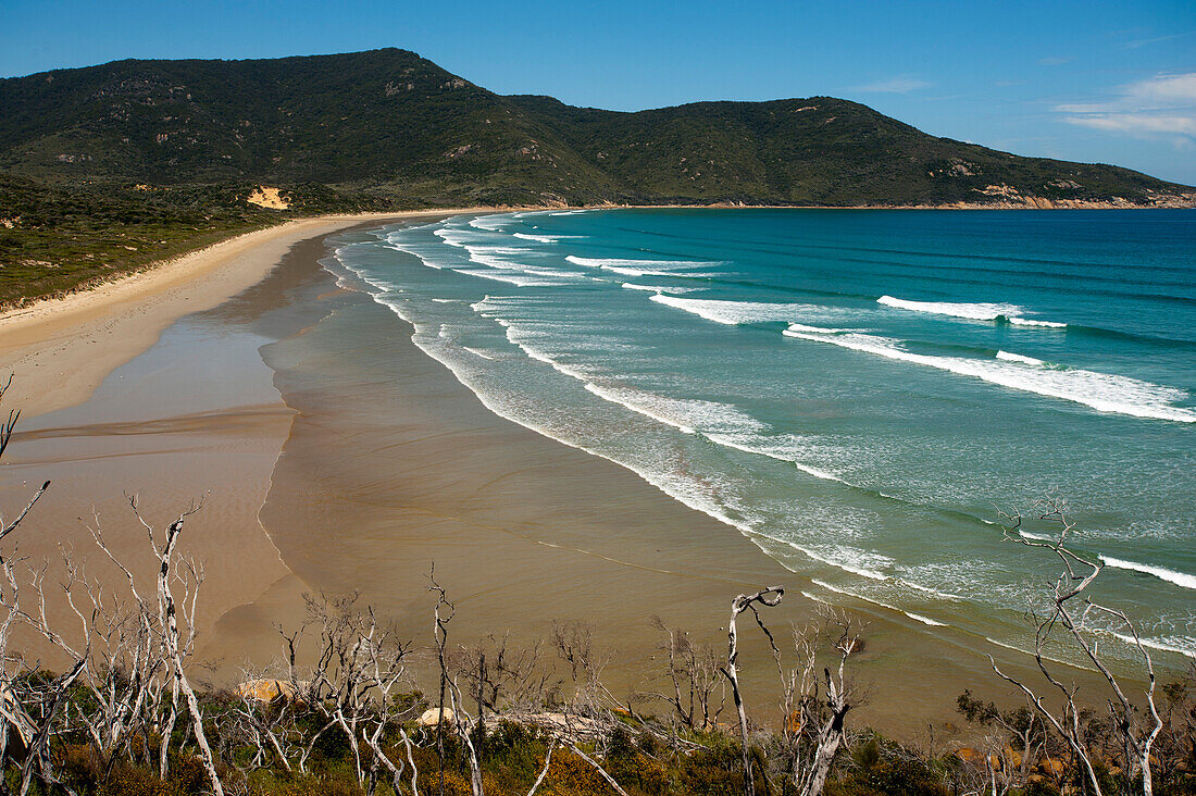 Oberon Bay, Wilsons Promontory National Park, Victoria, Australia