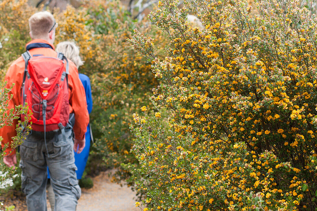 Zwei Wanderer auf dem Weg zur Oberon Bay, Wilsons Promontory National Park, Victoria, Australien