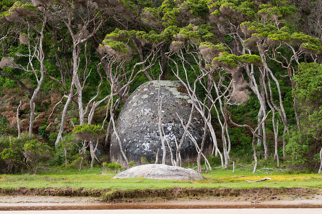 Granitfelsen am Tidal River, Wilsons Promontory National Park, Victoria, Australien