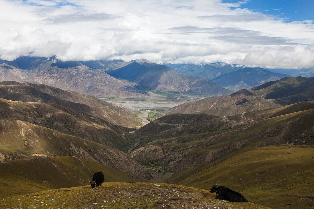 Yaks im Transhimalaya-Gebirge bei Lhasa, autonomes Gebiet Tibet, Volksrepublik China