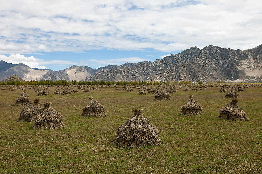 Landscape in the Transhimalaya Mountains near Lhasa, Tibet Autonomous Region, People's Republic of China