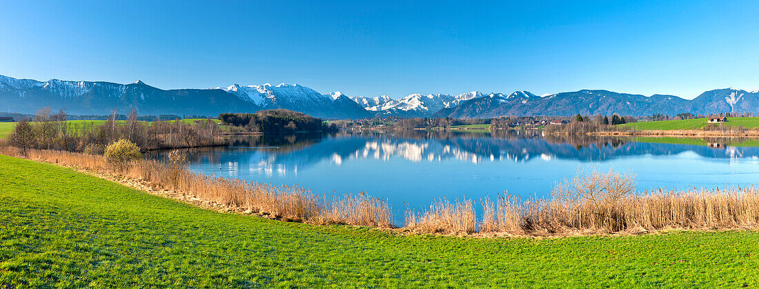 Lake Riegsee in the sunlight in spring, in the background the town of Murnau, Wetterstein mountains with Zugspitze and Alpspitze, Upper Bavaria, Germany, Europe
