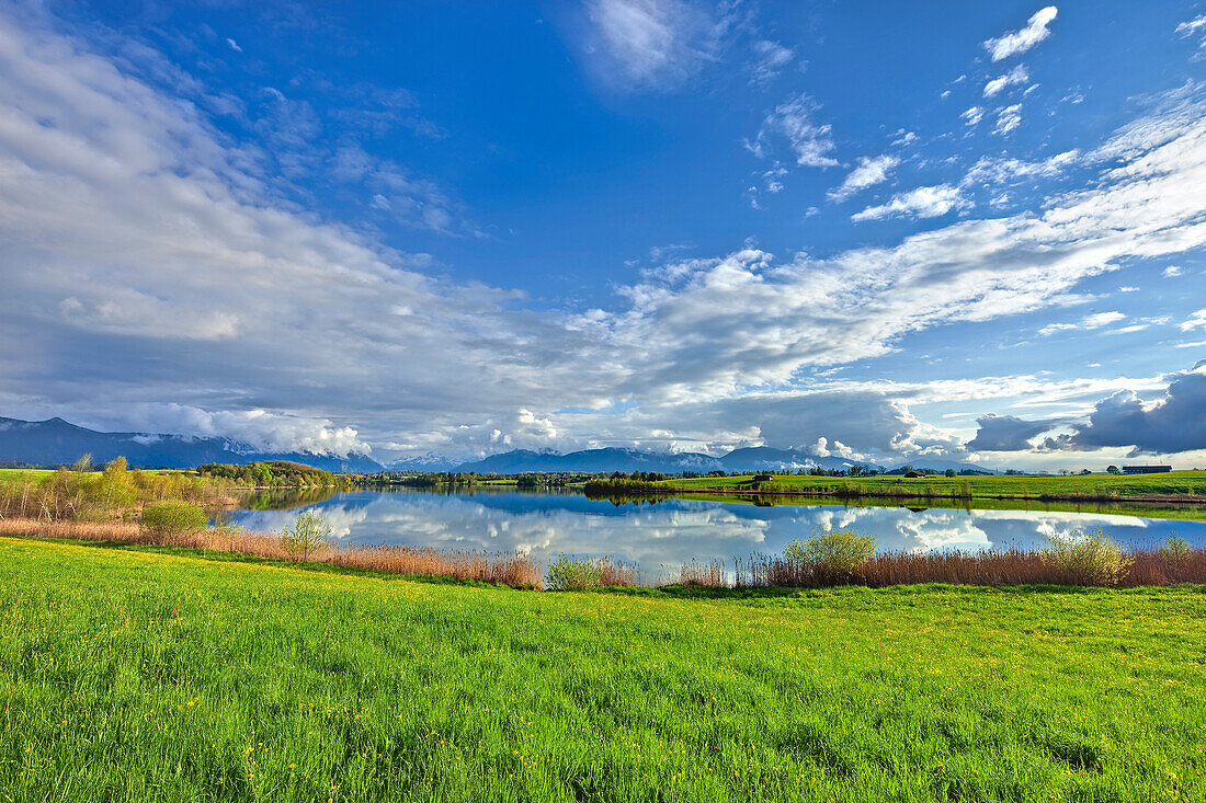 Lake Riegsee in the sunlight in spring, in the background the town of Murnau, Wetterstein mountains with Zugspitze and Alpspitze, Upper Bavaria, Germany, Europe