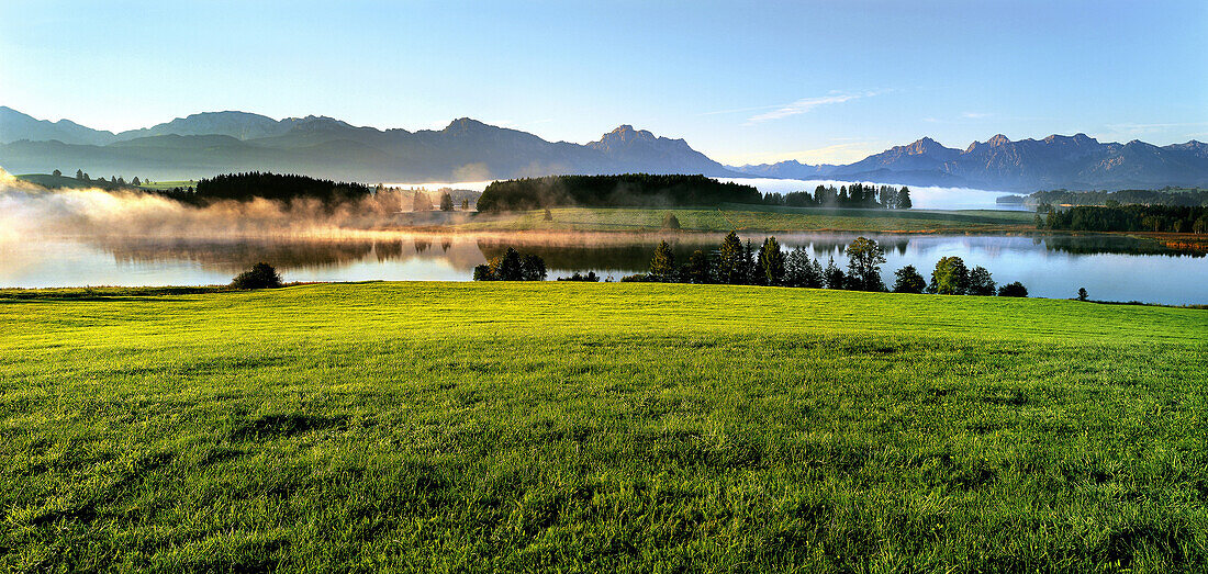 Landschaft am Forgensee, Oberbayern, Deutschland, Europa