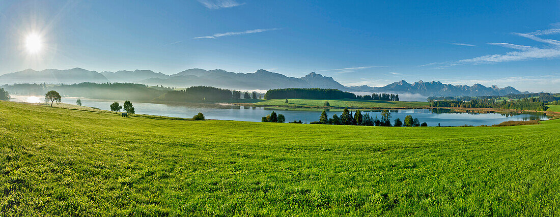 Landschaft am Forggensee mit Blick auf die Füssener Berge, Ostallgäu, Deutschland, Europa