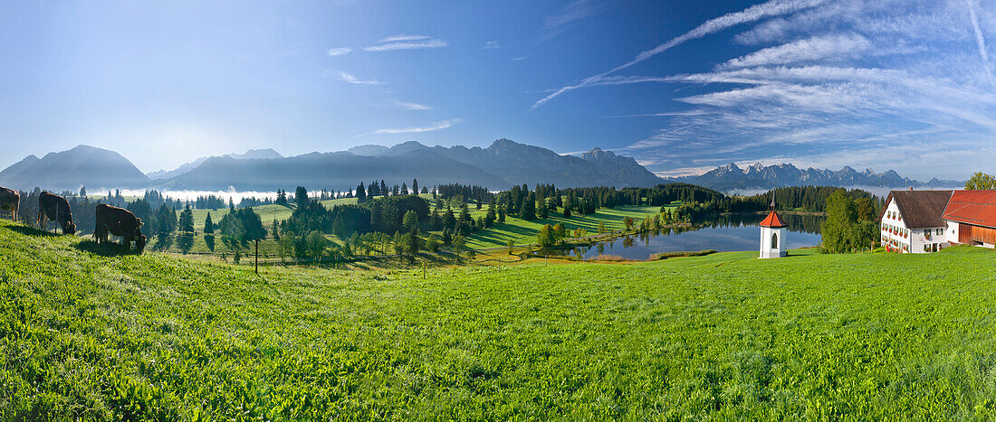 View from Hegratsried onto Tegelberg, Säuling and Tannheimer mountains, East Allgaeu, Germany, Europe