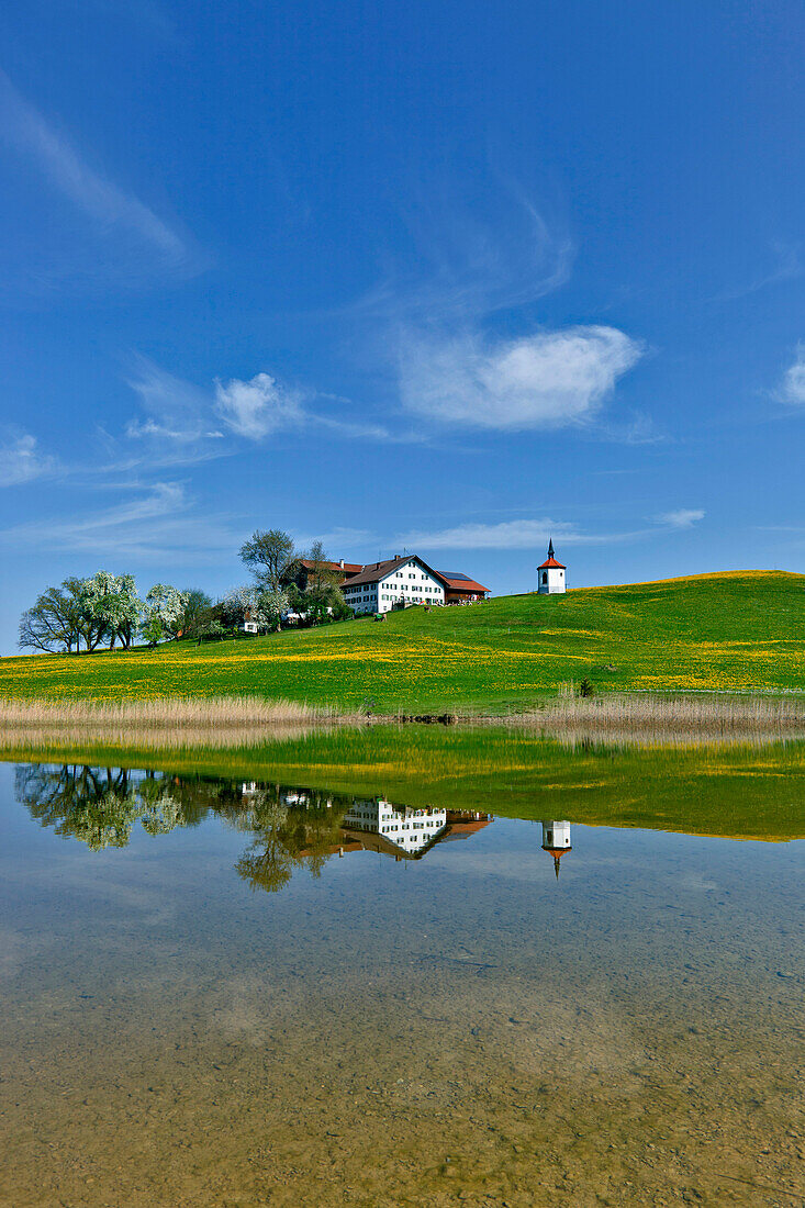 Farm house and Hegratsried chapel at lake Hergatsrieder See, Rural district of Fuessen, Allgaeu, Bavaria, Germany, Europa