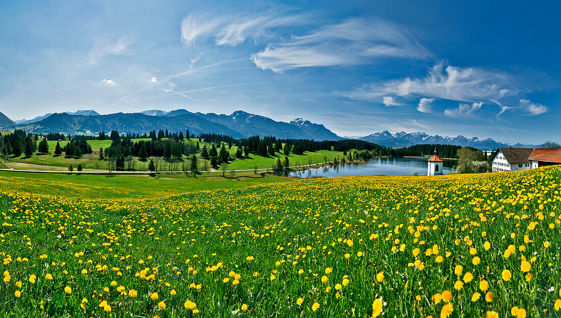 Blick von Hegratsried auf Tegelberg, Säuling und Tannheimer Berge, Ostallgäu, Deutschland, Europa