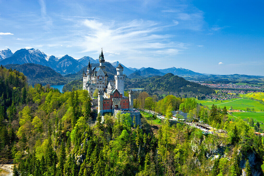 Blick auf Schloss Neuschwanstein mit Tannheimer Bergen im Hintergrund, Ostallgäu, Deutschland, Europa