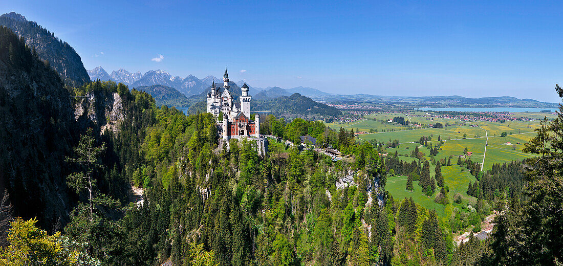 View of Neuschwanstein Castle with Tannheimer mountains in the background, East Allgaeu, Germany, Europe