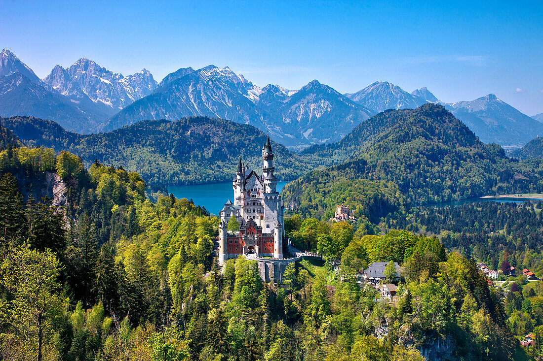 Blick auf Schloss Neuschwanstein mit Tannheimer Bergen im Hintergrund, Ostallgäu, Deutschland, Europa