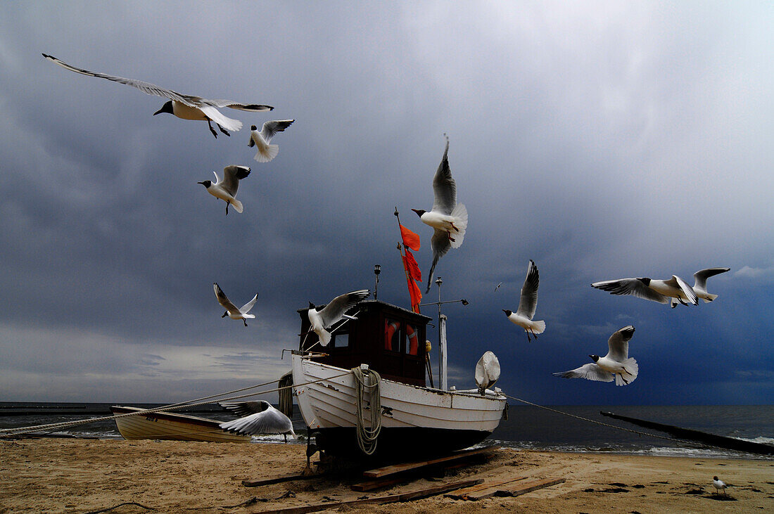 Fischerboot am Strand unter dunklen Wolken, Stubbenfelde, Usedom, Mecklenburg-Vorpommern, Deutschland, Europa