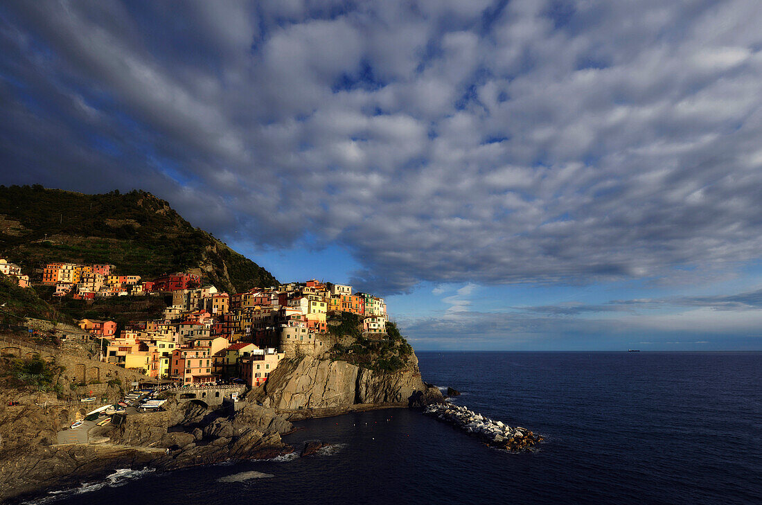 Blick auf Küste und die Häuser von Manarola, Cinque Terre, Ligurien, Italien, Europa