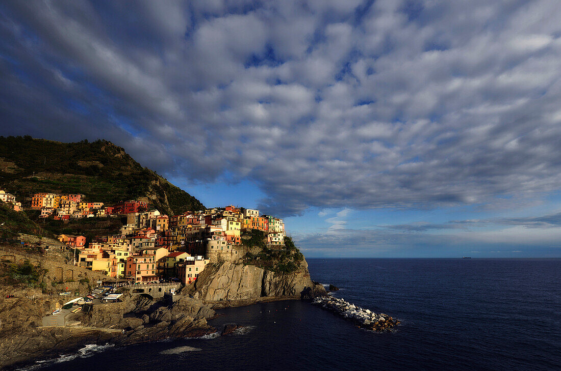 View of coast area and the houses of Manarola, Cinque Terre, La Spezia, Liguria, Italy, Europe