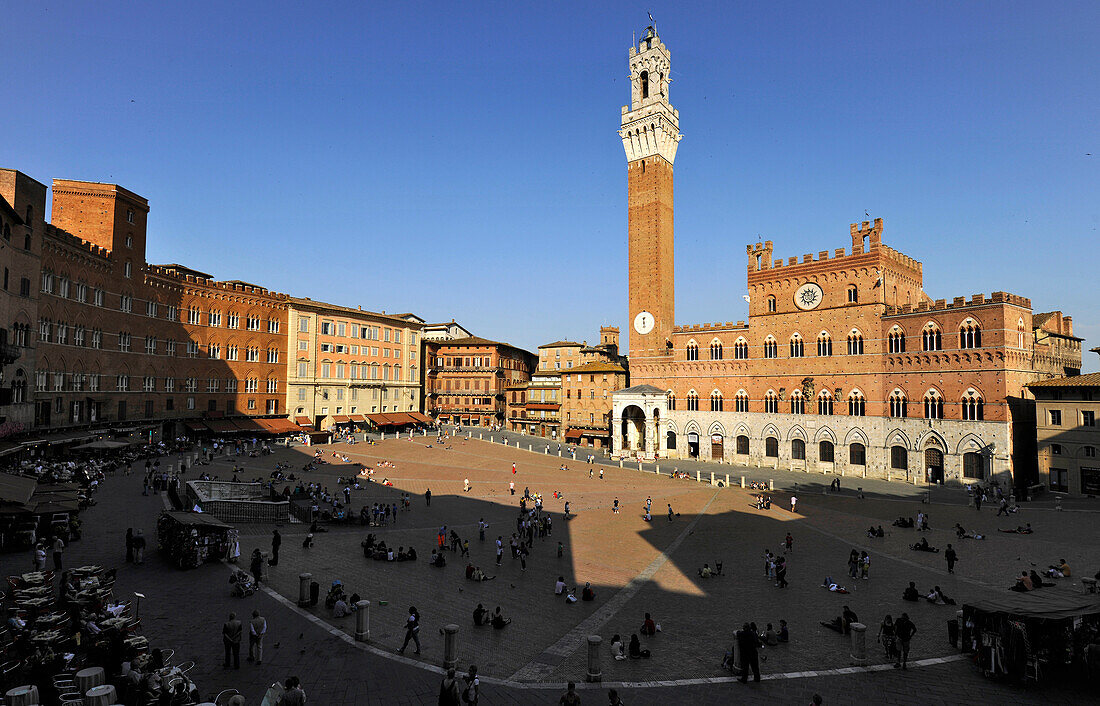 View of Palazzo Pubblico and square Piazza del Campo in the sunlight, Siena, Tuscany, Italy, Europe