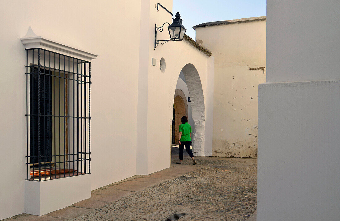 Houses in Jewish Quarter, Cordoba, Andalusia, Spain