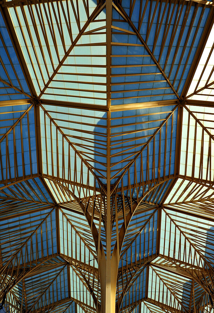 Glass roof of Lisbon Orient Station, Santiago Calatrava, Lisbon, Portugal, Europe