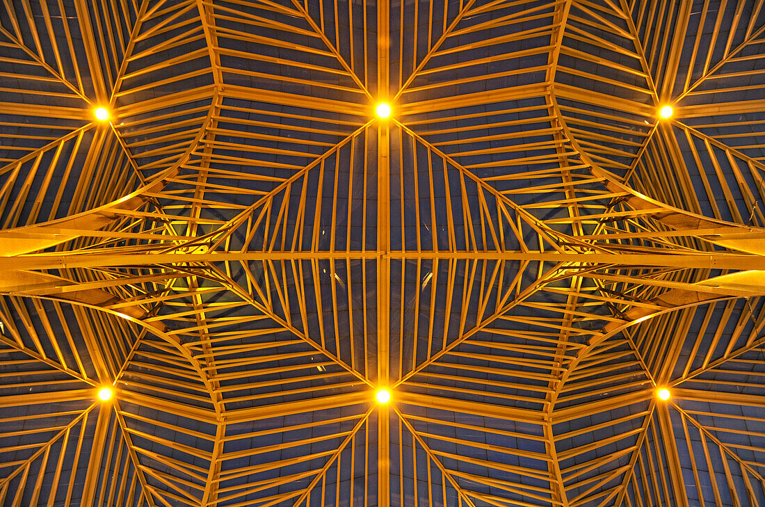 Glass roof of Lisbon Orient Station in the evening, Santiago Calatrava, Lisbon, Portugal, Europe