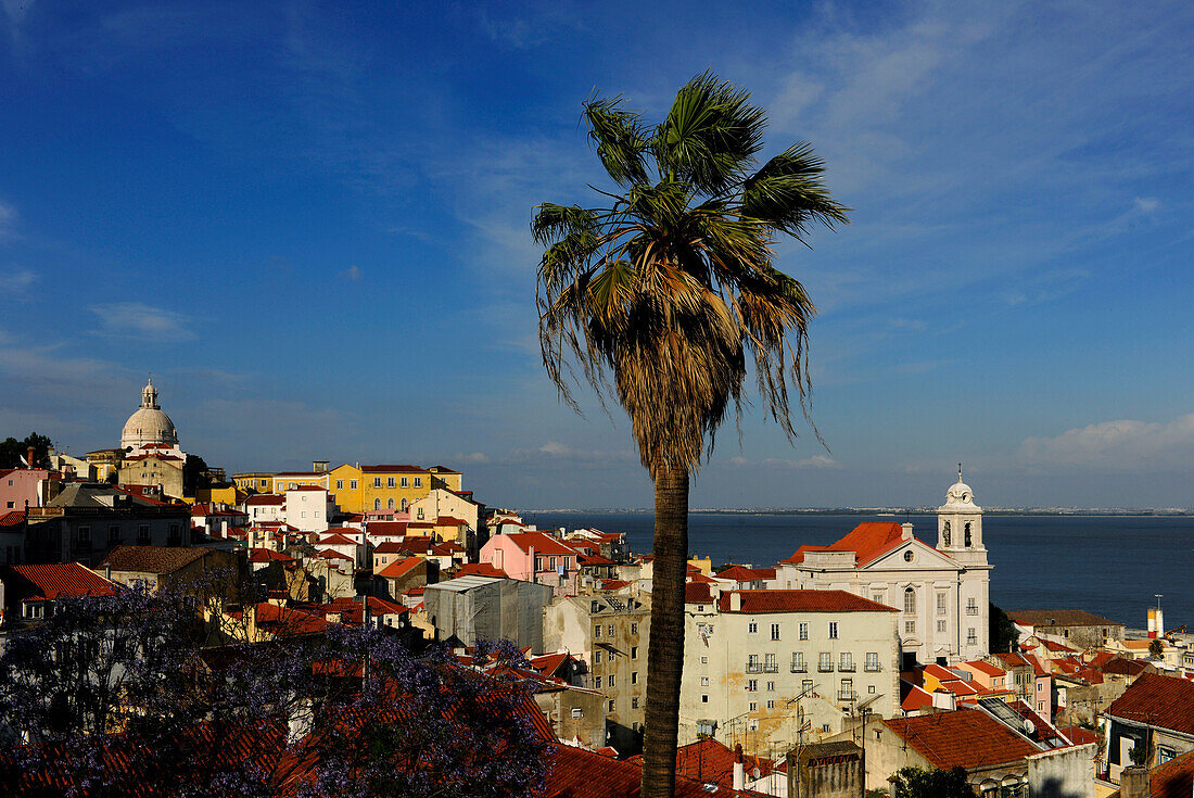 Blick vom Aussichtspunkt Miradouro de Santa Luzia auf den Stadtteil Alfama, Lissabon, Portugal, Europa