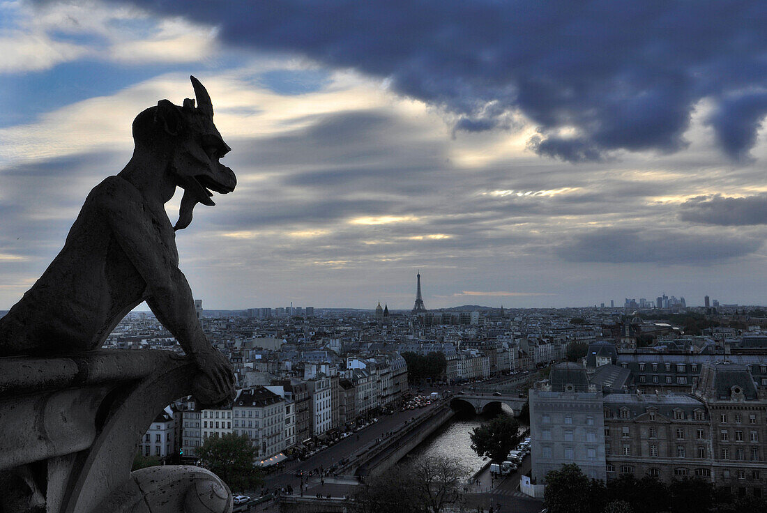 Gargoyle on the cathedral Notre Dame in the evening, Paris, France, Europe