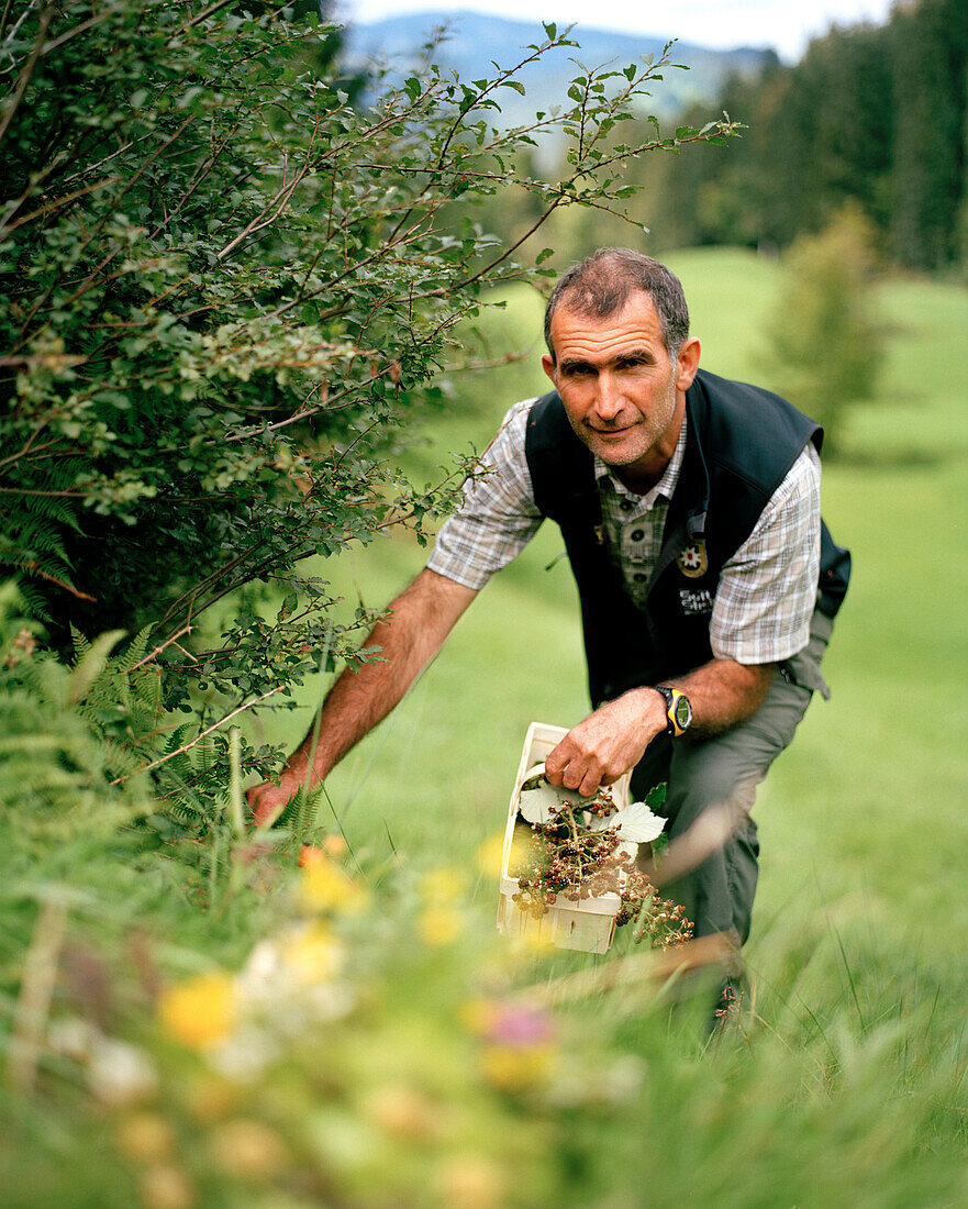 Herbalist, Bezau, Bregenzerwald forest, Vorarlberg, Austria