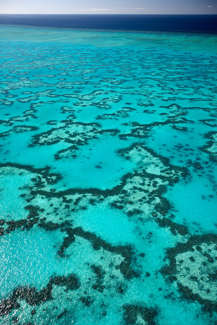 Korallen um Heron Island von oben, Great Barrier Reef Marine Park, UNESCO Weltnaturerbe, Queensland, Australien