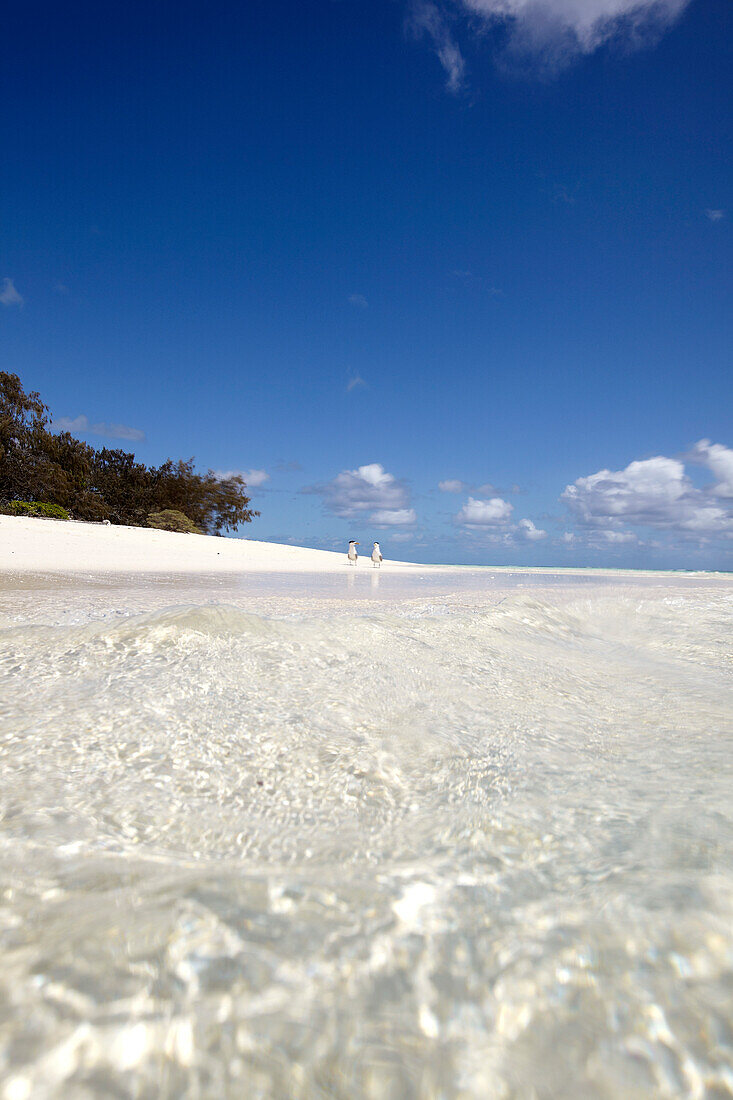 Water in front of Heron Island, eastern part is part of the Capricornia Cays National Park, Great Barrier Reef Marine Park, UNESCO World Heritage Site, Queensland, Australia