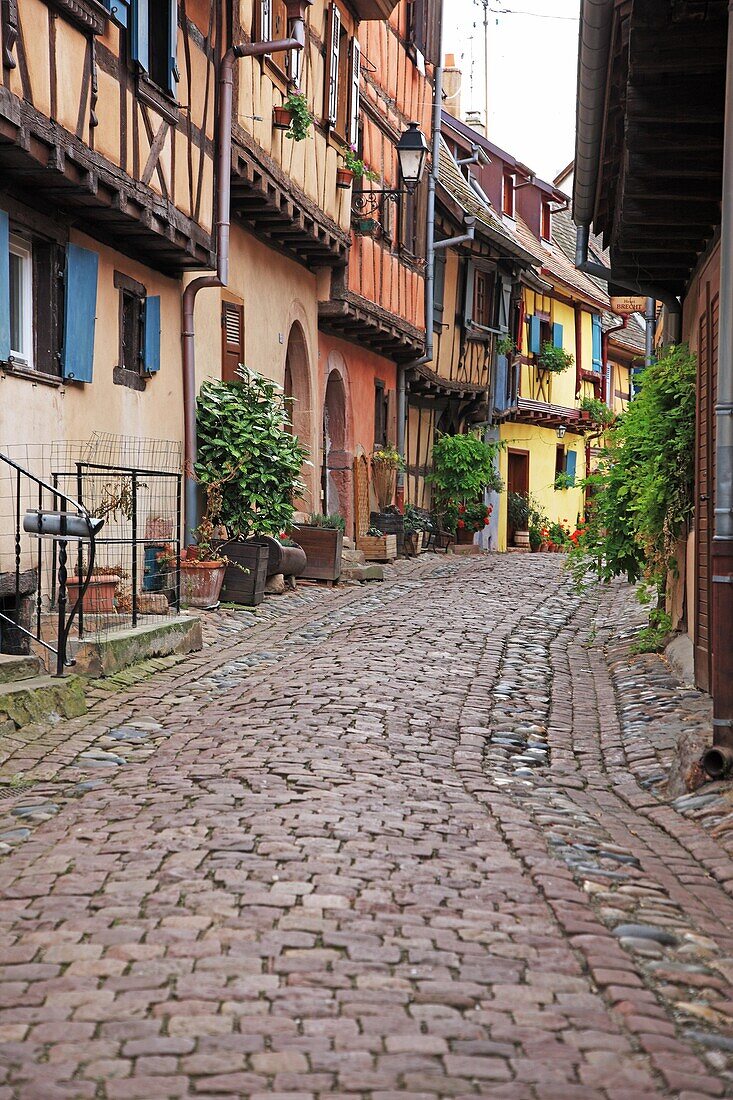 France, Alsace, Eguisheim, Route du Vin l'Alsace