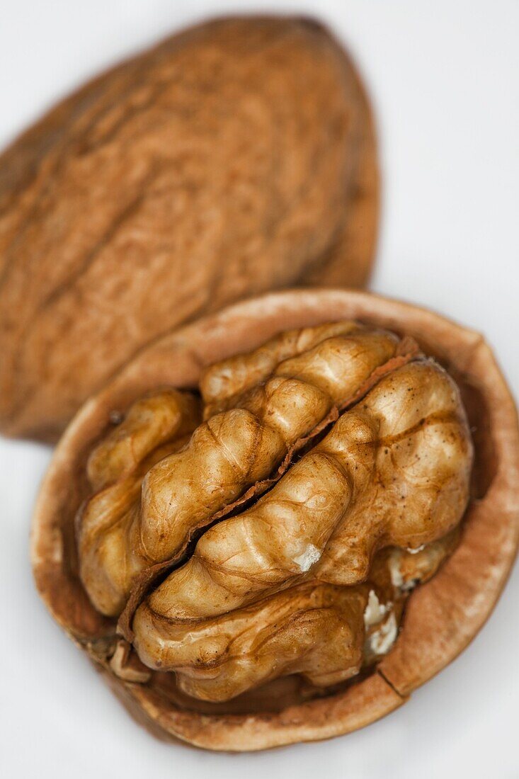 walnut close-up