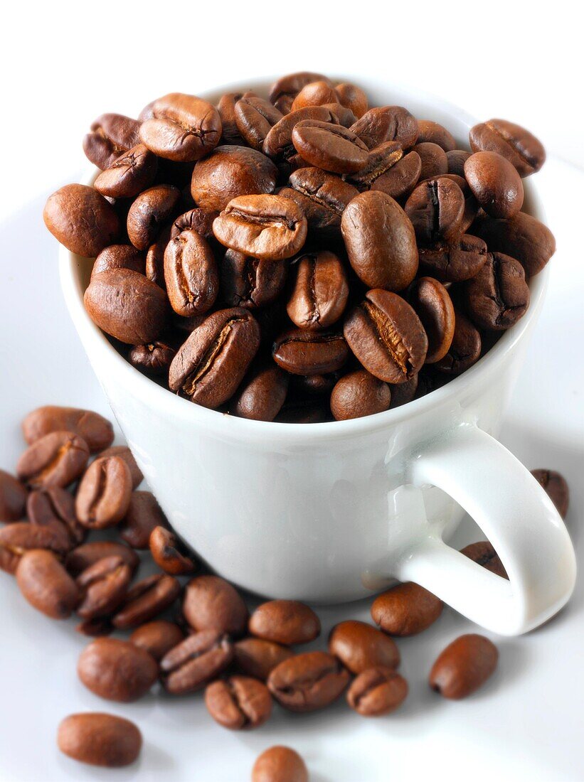 Coffee beans in a coffee cup against a white background