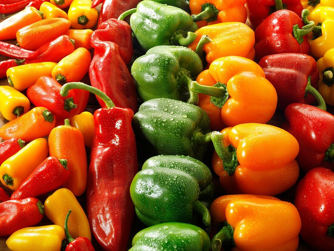 Mixed red, green, yellow & orange fresh bell peppers
