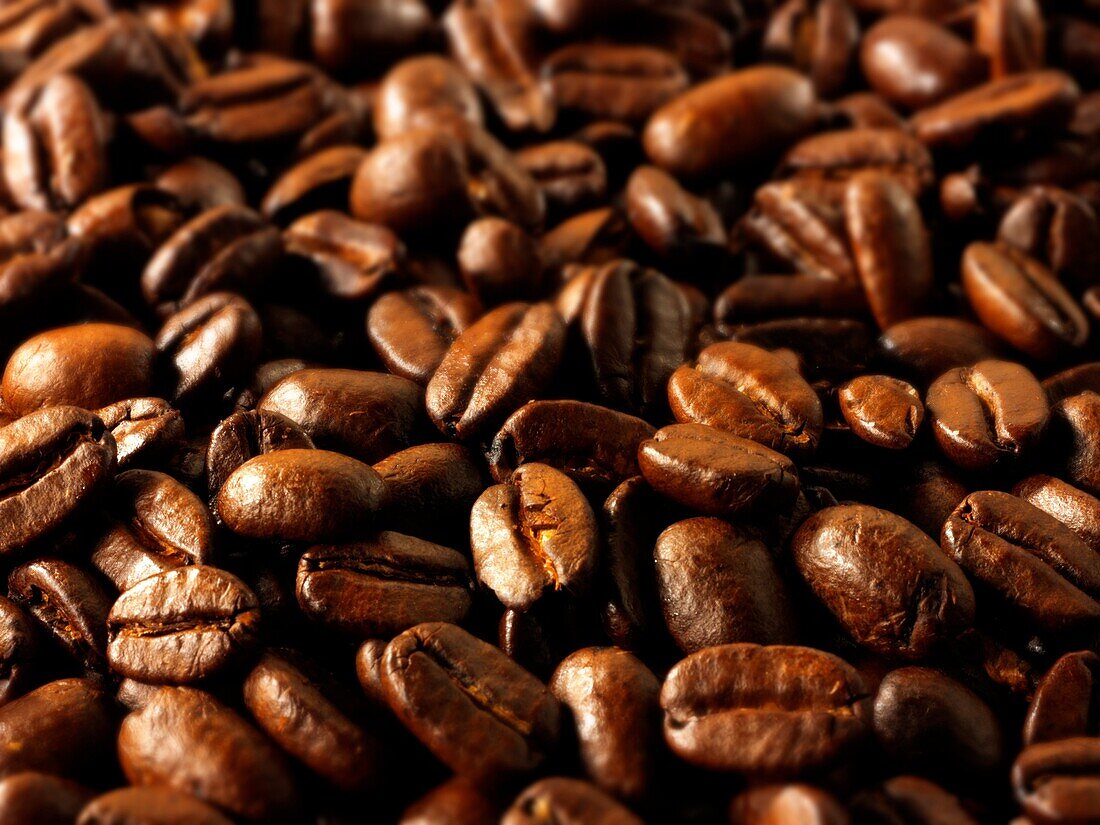 Papua New Guinea fair trade coffee beans