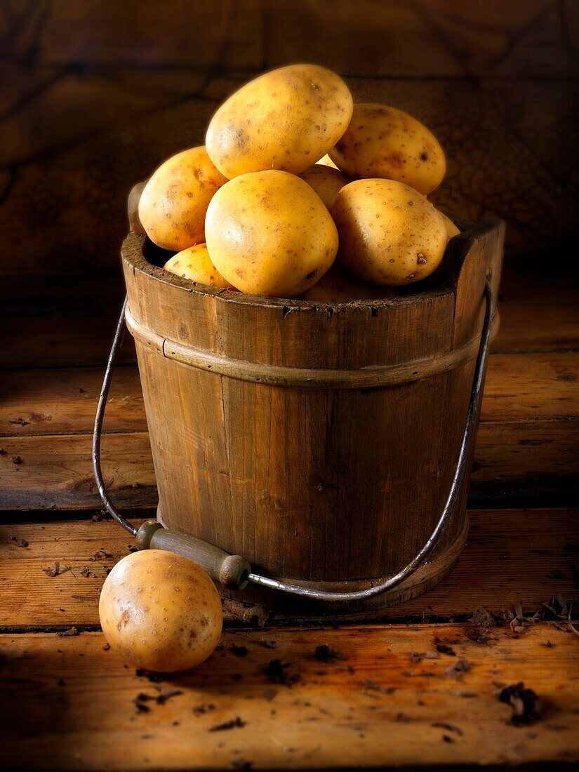 all, food, fresh, natural, organic, Potato, root, Studio shot, uncooked, unpeeled, vegetables, vertical, whole, YL2-1201616, AGEFOTOSTOCK