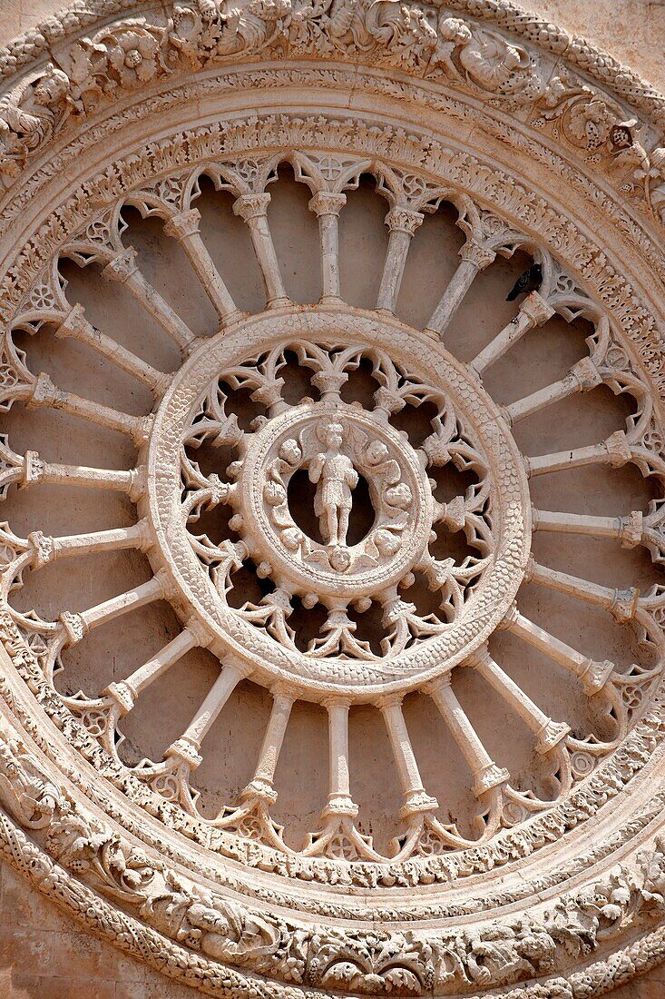 The 15th century rose window of the cathedral of Ostuni, Puglia, South Italy