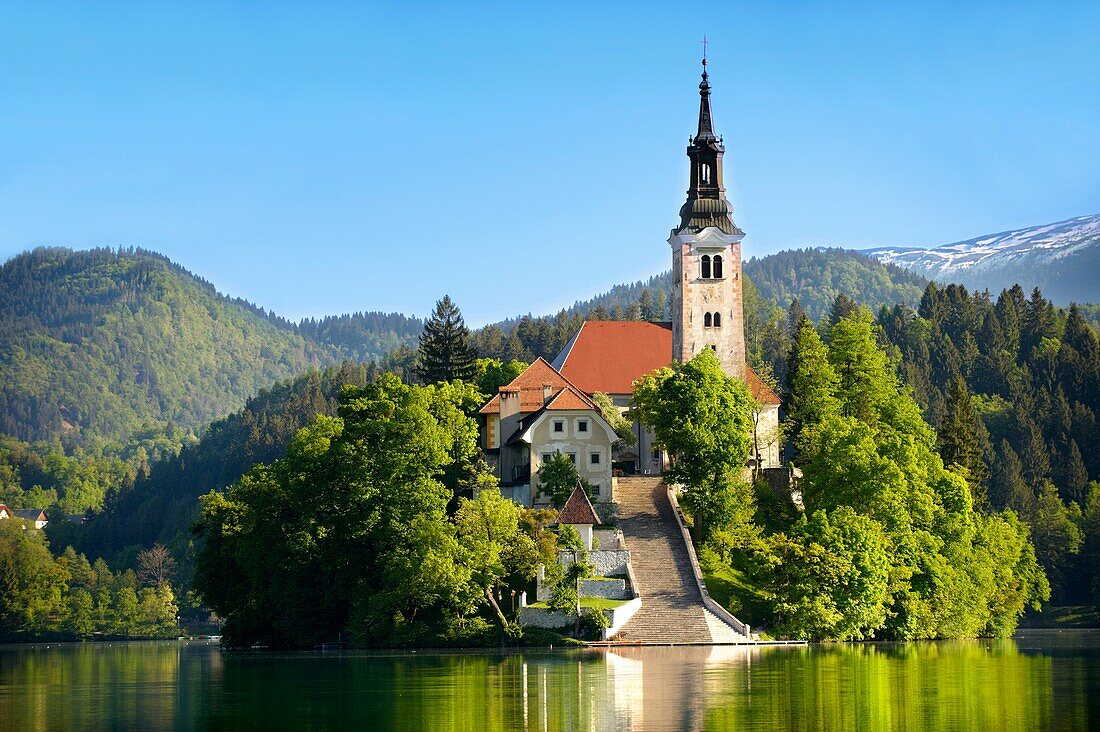 Assumption of Mary Pilgrimage Church in the middle of Lake Bled Slovenia