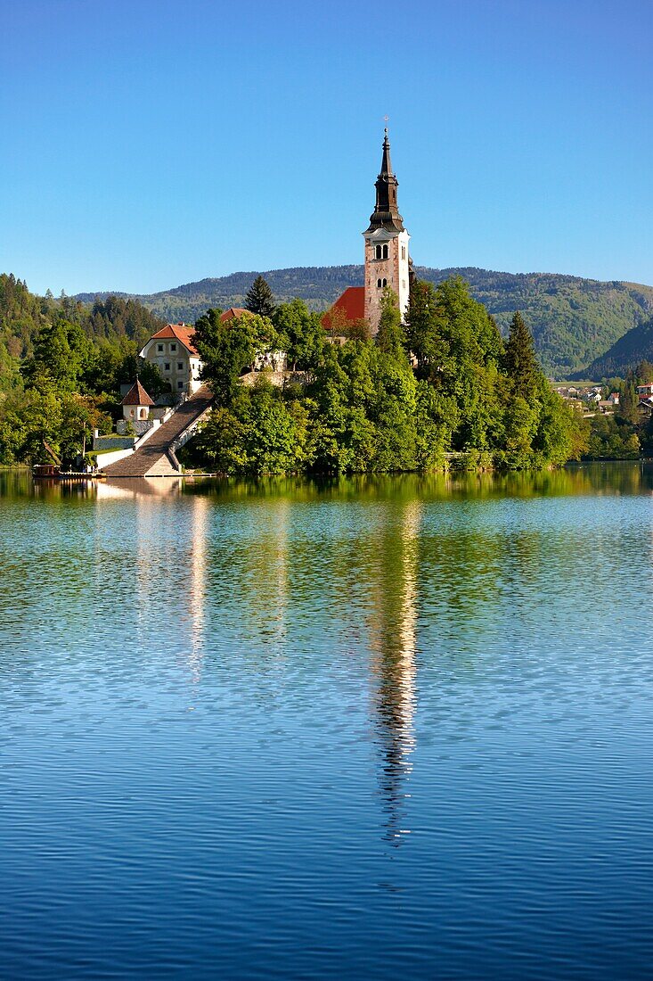 Assumption of Mary Pilgrimage Church in the middle of Lake Bled Slovenia