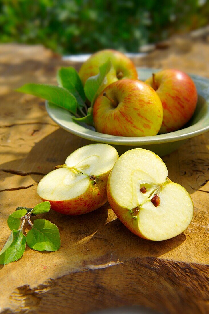 Fresh picked apples in a bowl